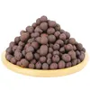 500g Organic light ceramsite Clay Pebbles Grow Media Orchidee Idroponica Acquacoltura Fiori da giardino Piantare 210615