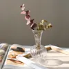 Wazony vintage szklany wazon z przezroczystymi brązowymi kwiatami nordyckimi proste stół sztuka wstawiona do dekoracyjnego wystroju hydroponicznego