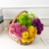 Fleurs décoratives Pissenlit à tige unique Fleurs artificielles Pissenlit Fleur en plastique Fête de mariage Centres de table 5 Style LLE11264