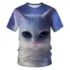 funny cat clothing