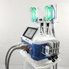 Machine de cavitation RF à cryolipolyse amincissante rapide CRYO Fat Freeze Lipo Laser Machines à vendre 360 degrés 2 ans de garantie Nouvelle technologie