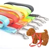 Dog Collars & Leashes Strong Nylon Pet Lead Leash With Clip For Collar Harness Various Color 120cm