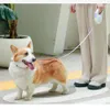 5m Long Lysous Slitstarka Hund Leash Automatisk Retractable Nylon Cat Leashes Extension Puppy Walking Running Roulette För Hundar