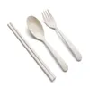 Hot exquis Santé Environmental Wheat Platycodon Paille de paillet Set Portable Camping Tablewarel Spoon Fork Fork Campsticks Camp