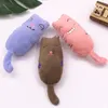 Catnip Toys for Indoor Cats Cat Chew Toys Bite Resistant Teeth Interactive Kitten Plaything Filled Cartoon Plush Toy Kitty Gifts Wholesale H12