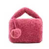 Sac en laine d'agneau de haute qualité, nouveau sac à bandoulière avec chaîne d'automne et d'hiver, petit sac d'oreiller Portable