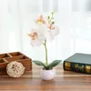 Dekorativa blommor kransar plast orkidé mal konstgjord växt krukut balkong bordsdekorationer julfest simulering bonsai hantverk g