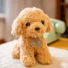 シミュレーションテディ犬のぬいぐるみおもちゃ人形子犬犬ragdoll doll05309955