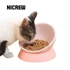 Nicrew 360 Degree Slanted Puppy Dog Cat Pet Food Bowl Cat Dish Dog Bowl Pet Sterile Tableware Pet Feeding Watering Supplies Y200922