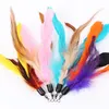 Color Multi Cat Toys Bird Feather Plastic Wand Plastic Diy Catstoys Parts Cat Supplies 18cm WHT0228