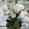 Coroas de flores decorativas Seda Artificial Borboleta Orquídea Bouquet Phalaenopsis Decoração de casamento em casa falsa Decoração de artesanato faça você mesmo