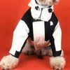 Queda de inverno engrossar animais de estimação jaquetas 3 cores personalidade personalidade pet casaco carta moda bordado teddy schnauzer jaqueta
