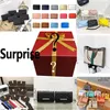 مزيج حقائب اليد Mystery Box حقائب هدايا Suprise مختلفة shoudler crossbody حمل المزيد من الألوان ترسل عن طريق الصدفة مئات من الأنماط