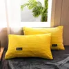 New Thick Warm Fleece Bedding Set Tinta unita Copriletto Stripe Copripiumino Lenzuolo Federa AB Set biancheria da letto laterale 3/4 pezzi 210319