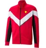 F1 Formule 1 Racing Suit Pullover Outdoor Leisure Leisure Hooded Sweater -fans dezelfde stijl kan worden aangepast