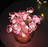 Fleurs de pêche Guirlande lumineuse Guirlande lumineuse Décoration de fête 2 m 20 LED Fil de cuivre Lumière LED Alimenté par batterie pour terrasse terrasse Balcon Camping DIY Décoration d'intérieur Rose Bleu