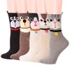 Мультфильм уши котенок носки Корейский пот-абсорбирующие милые женские носки.