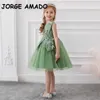 Großhandel Frühling Blumenmädchen ärmelloses Partykleid Prinzessin Applikation Hochzeit Kinder Kleidung E5150 210610