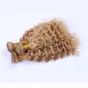 브라질 곱슬 곱슬 3pcs 로트 브라질 곱슬 버진 헤어 짜는 Jerry Curl Virgin Hair Blonde 27 Deep Wave Hair Bundles Wefts4696478