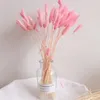 20pcs Lot Artificial Dyeing Lagurus Dried Flowers Real Ovatus Bouquet For Home Wedding Decoration Fake Decorative & Wreaths