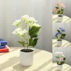 Fiori decorativi GATHONHS Bright colore moda taglio simulazione fiore simulazione flower hydrangea forma pianta simulata wear-resistent wedding de