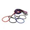 2021 nuova vendita Rope Dog whisperer stile Cesar Millan Slip Training Leashes collare di piombo