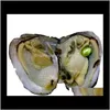 Losse kralen sieraden drop levering 2021 groothandel geverfde natuurlijke parels binnen feest in bulk open thuis parel oesters met vacuümverpakking tb