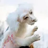 Decorative Objects & Figurines 40cm Falkor Never Ending Story Plush From The Neverending Doll Toys Gift For Kids Adluts