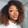 Braziliaanse Afro kinky krullend menselijk haarbundels 1B/4/27 OMBRE -kleur Twee toon honingblond haar weeftjes