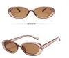 2022 Nouvelle mode Markings ovales de mode Lunettes de soleil colorées pour femmes hommes petits cadres carré cadre carré lunettes de soleil unisexe couleur couleur lunettes de vue