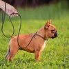 4ft / 5ft läder hund koppel P Chian Collar Traction bly rep för Chihuahua Bulldog Små hundar Leashs Slip Collar Djur levererar T200517