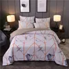 Ensembles de literie marbrés en trois pièces Imprimé Mode Housse de couette moderne Taie d'oreiller Twin Full Queen King Size Marque Chic Bed Comforters Supplies En stock