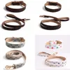 Simple Fashion Dog Collars Leashes Set Adjustable Soft and Leash Small Medium Cat Great for walking or running 4 Colors M