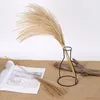 Naturalne suszone kwiaty Ślubne Dekoracyjne Real Pampas Reed Whisk Trawy Sztuczne Kwiat Bunch Home Ornament