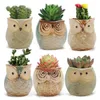 1Pcs Lovely Ceramic Mini Pot Desk Planter For Succulent Plant Bonsai Flower Cactus Owl Pot Gifts For Women Girls Boys Kids Y0314