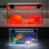 Aquaria Verlichting UK Plug Aquarium Fish Tank LED Licht Dompelpompen Buizen SMD RGB Lamp Bar Remote223C
