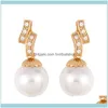 Charm Jewelrydesigners Giapponese e coreano Semplice perla fresca Personalità Dolce rete Orecchini acqua rossa Femmina Eru26 Drop Delivery 2021 Eryvj