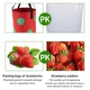 Jardinières Pots 2 pièces 3 Gallons fraise cultiver des sacs pour plantes jardin sac Vertical fleur poche réutilisable Pot planteur