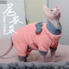 Costumi per gatti Autunno Inverno Vestiti Sphynx Gilet caldo per cucciolo classico senza peli Maglione per cani gatti elastici rosa
