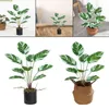 Ghirlande di fiori decorativi Plastica artificiale Arrowroot Bonsai Piante in vaso finte Real Touch Soggiorno Centrotavola per feste di nozze Decor