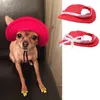Pet Supplies Dog Apparel Tillbehör Baseball Duck Tongue Sun Hat Caps 19 stilar 4 Storlekar 20 21