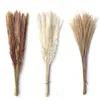 Schilfrohr, Pampas, Weizenohren, Kaninchenschwanz, Gras, natürliche getrocknete Blumen, Blumenstrauß, Hochzeitsdekoration, Heu für Party, böhmisches Zuhause, 20220110 Q2