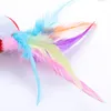 Cat Toys Interactive Plush Ball With Feather In Stock Pet