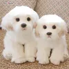 Bichon Frise Filhote de cachorro recheado Maltês cão brinquedo de pelúcia simulação simulação fofo bebê bonecas presentes de aniversário para crianças gota 210728