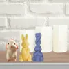 velas de conejo de pascua