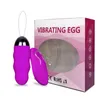 Ägg Silicone Vagina Vibrator Ball Muscle Exercise Wireless Remote Control Sexleksaker för kvinnor Vuxen 1124