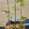 庭の供給他の3セット組み立てられた植物ケージトマトステーク野菜トレリス
