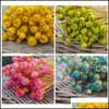 Decorative Flowers & Wreaths Festive Party Supplies Home Garden 50 Stems Dried For Arrangements Bundle Decor Po Props Handmade Air-Drying _W