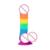 NXY Dildos Consolador Lifelike Female Sex Toys, 20 Cm Rainbow Masturbators, Penis Bands, Suction Cups, Stores, New Products in 1210