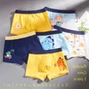 cueca de shorts de cotores de algodão